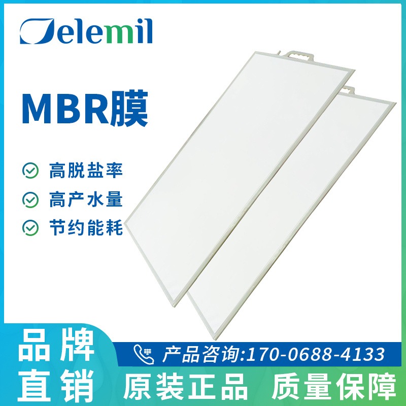 德兰梅尔MBR平板膜 mbr膜一体化设备 卤制品废水处理应用