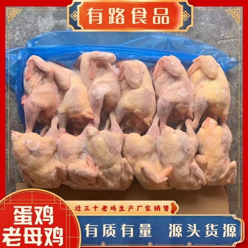 有路冷冻老母鸡白条板冻箱装11KG一件供应整鸡熟食调理调味加工厂使用