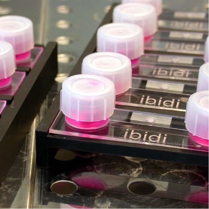 德国ibidi µ-Slide/µ-Dish细胞培养载玻片/培养皿保护支架-80030